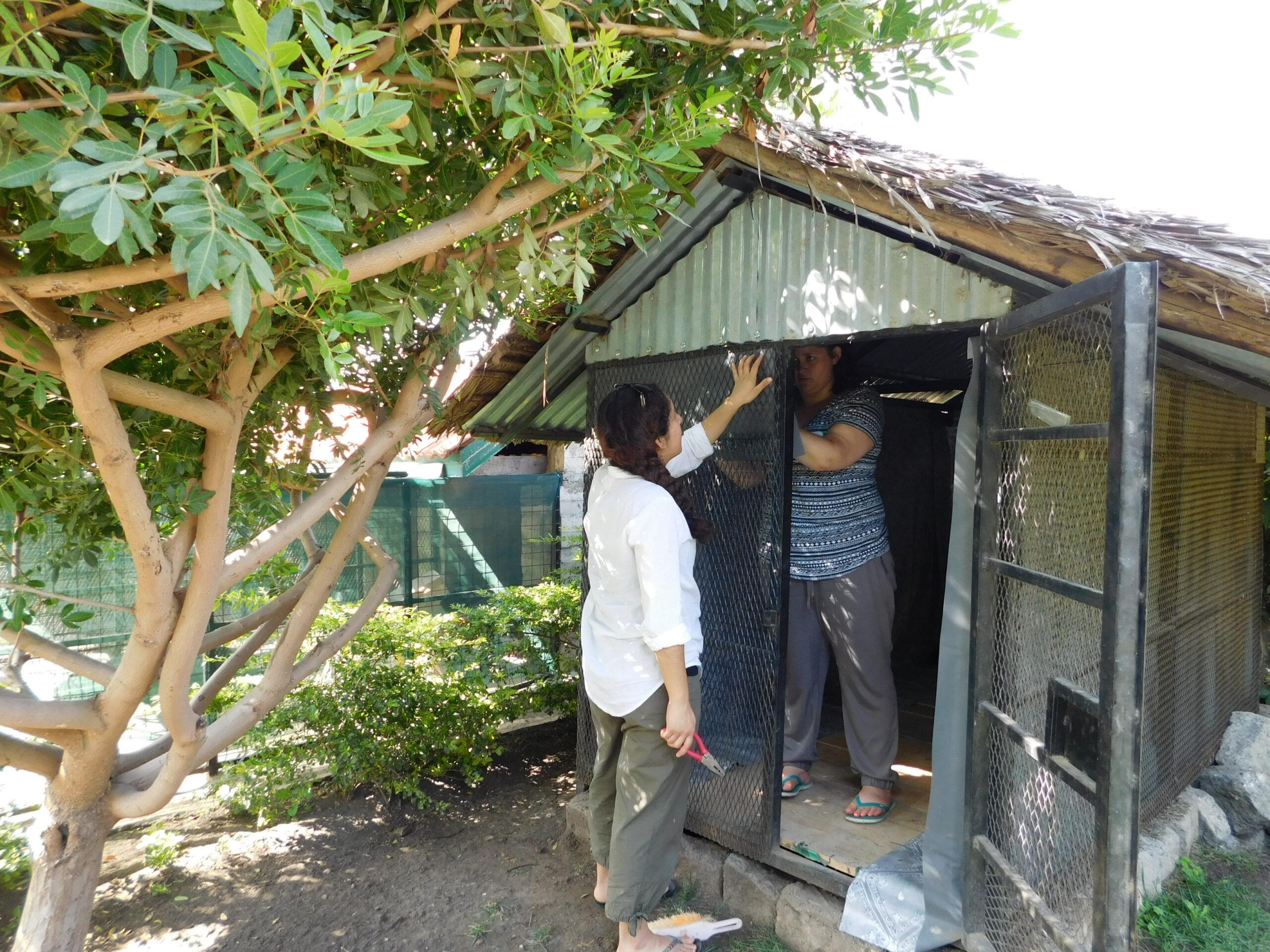 Volunteers with kennel