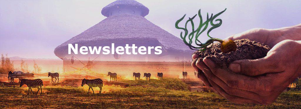 Newsletter updates from Seeds in His Garden