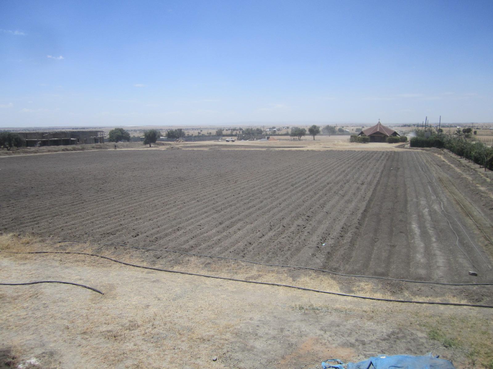 10 AG Beginnings